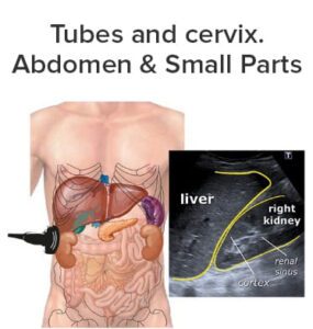 tubes & carvix