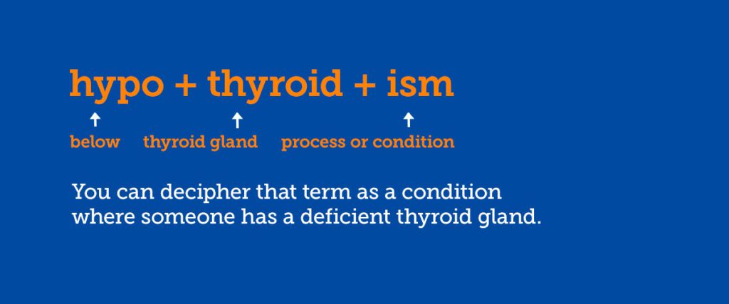 meaning of presentation in medical terminology